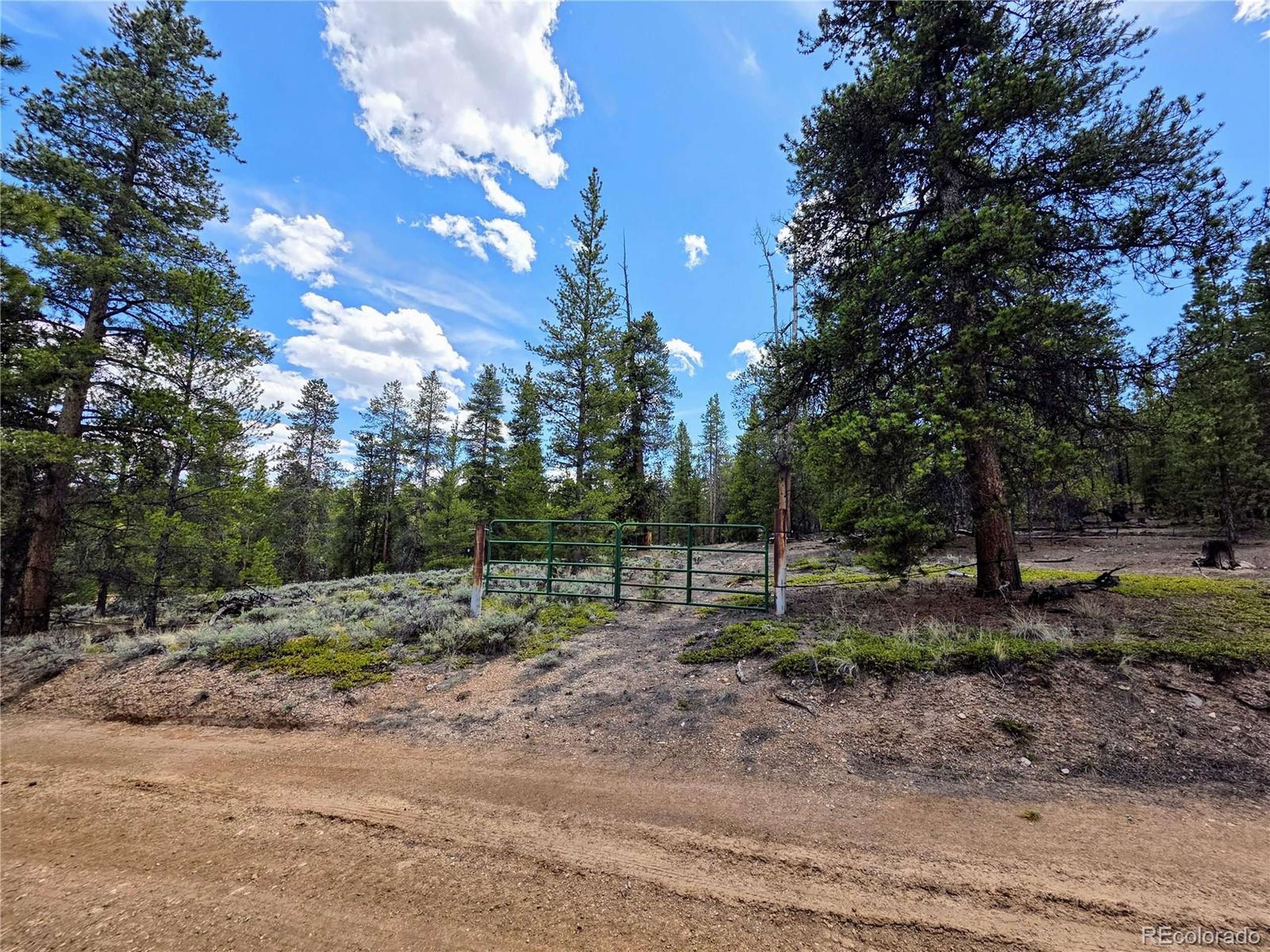 Twin Lakes, CO 81251,160 Ponderosa Dr