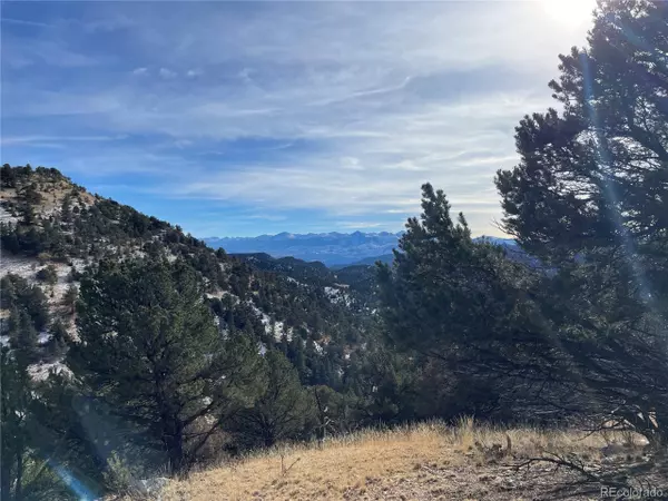 Cotopaxi, CO 81223,752 County Road 16