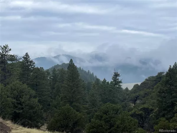 Cotopaxi, CO 81223,752 County Road 16