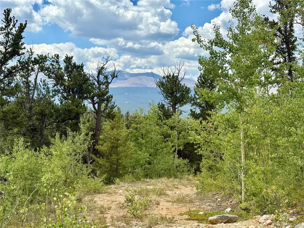 Alma, CO 80420,0 Beaver Creek Rd