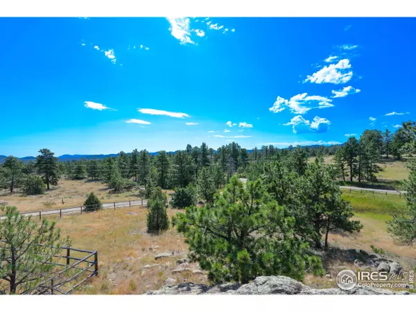 Livermore, CO 80536,69 Parkview Peak Dr