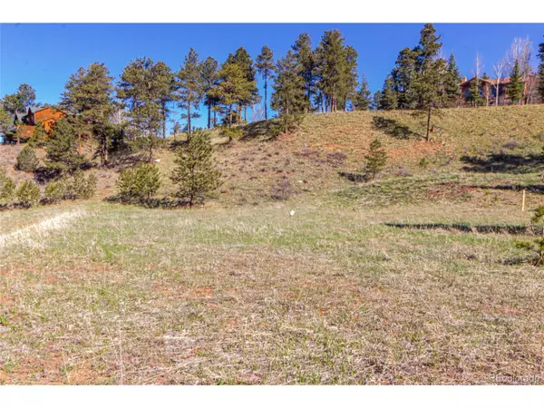 Woodland Park, CO 80863,2721 Mountain Glen Ct
