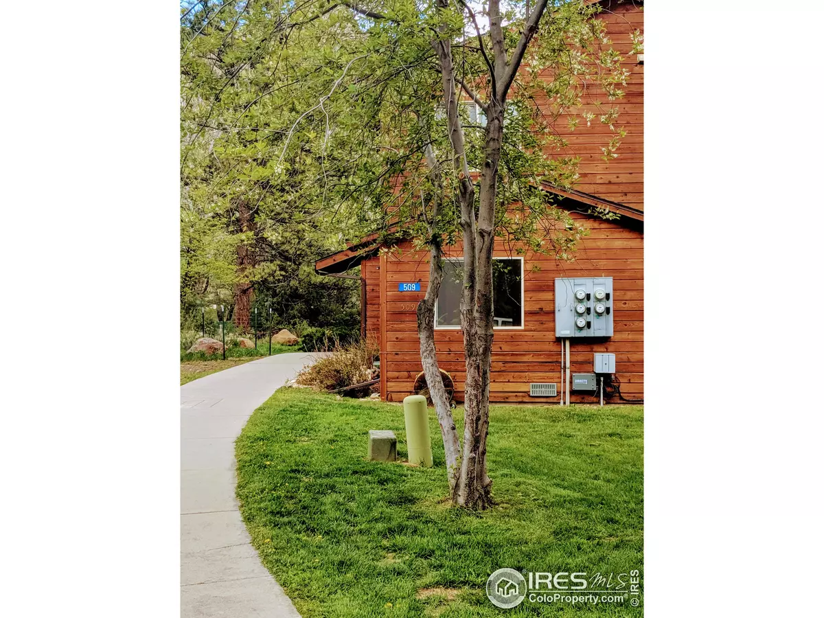 Estes Park, CO 80517,509 Fall River Ln #C