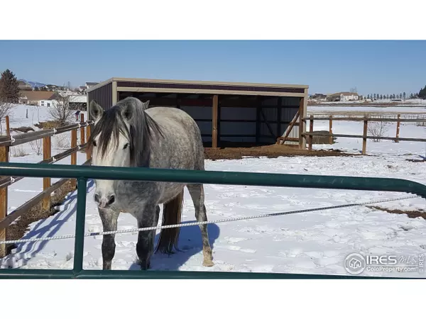 Berthoud, CO 80513,617 Sunbird Ln