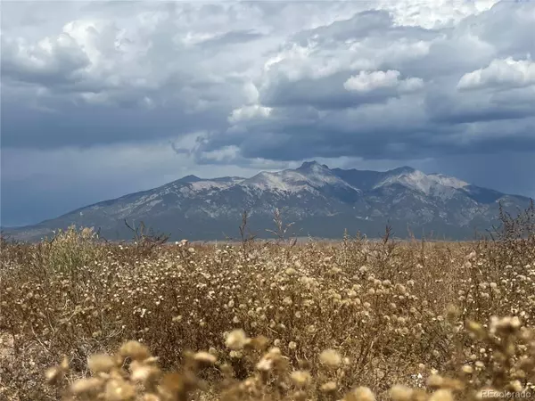 0 Buena Vista St, Blanca, CO 81123