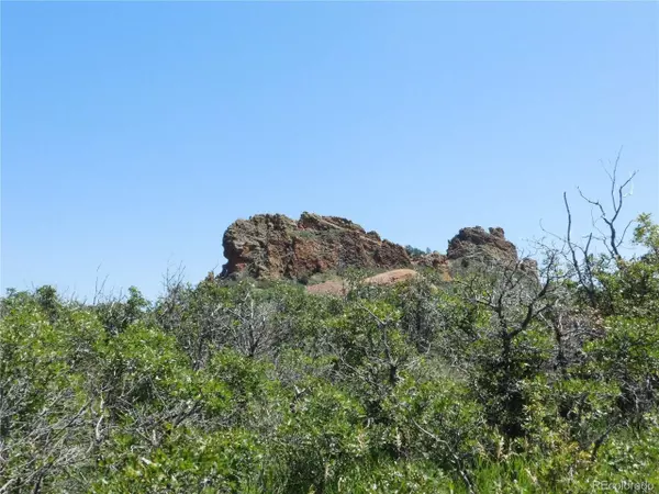 Larkspur, CO 80118,6128 Columbine Ct