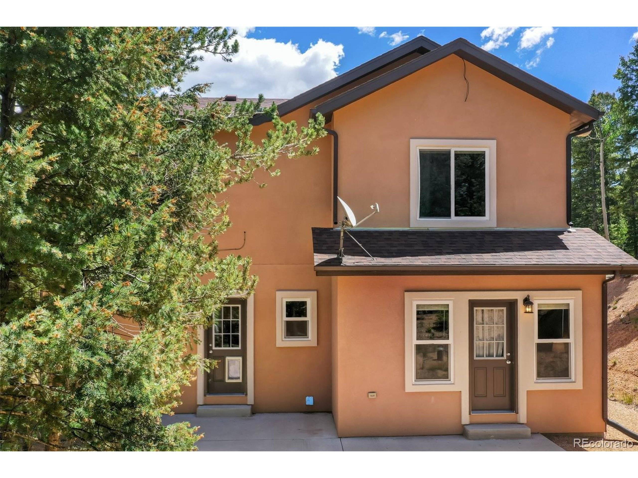 71 Mt Elbert Dr, Florissant, CO 80816