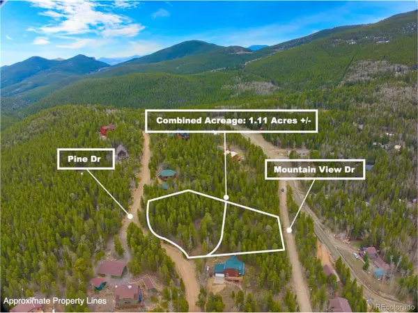 111 Pine Dr,  Idaho Springs,  CO 80452