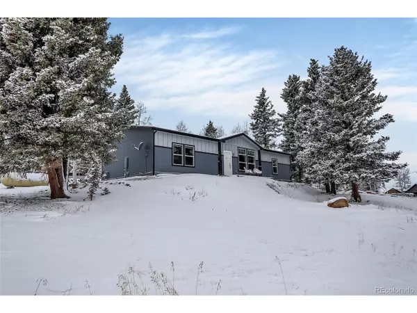 193 Minstrel Dr, Divide, CO 80814