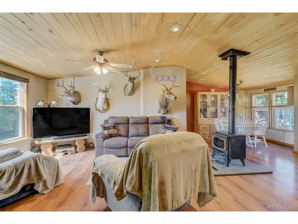 Guffey, CO 80820,100 Hawk Ln