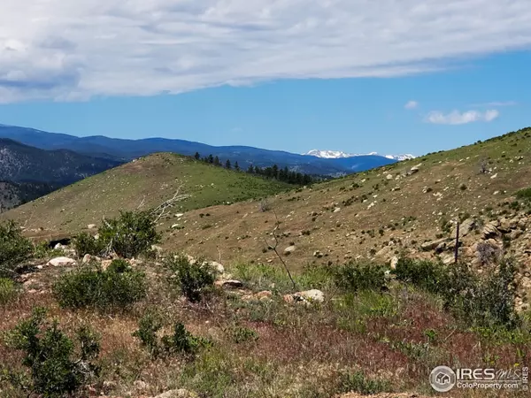 Livermore, CO 80536,265 Milner Mountain Way