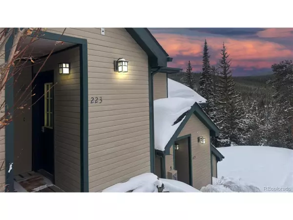 223 S Fuller Placer Rd #4, Breckenridge, CO 80424
