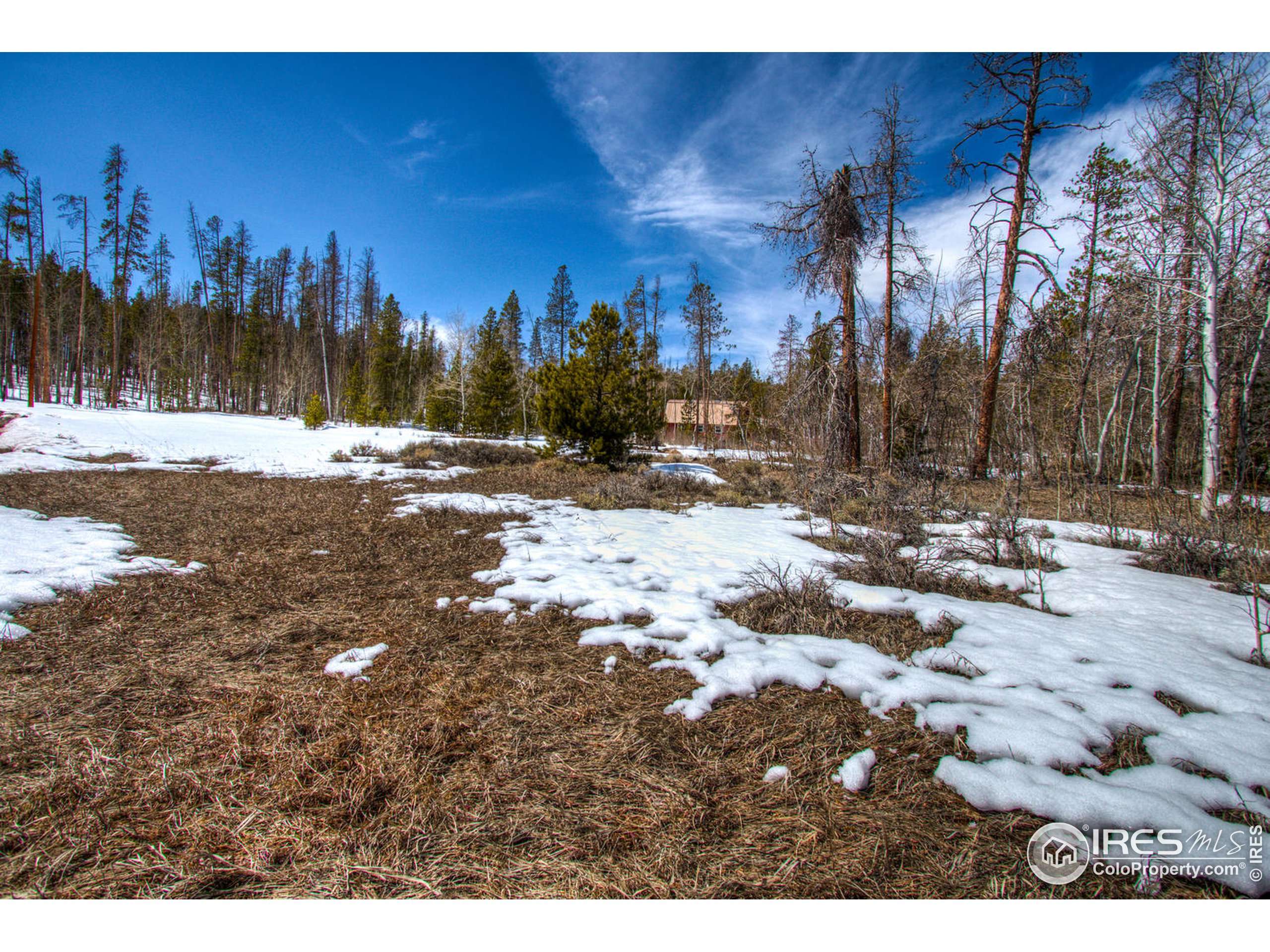 Red Feather Lakes, CO 80545,131 Chippewa Way