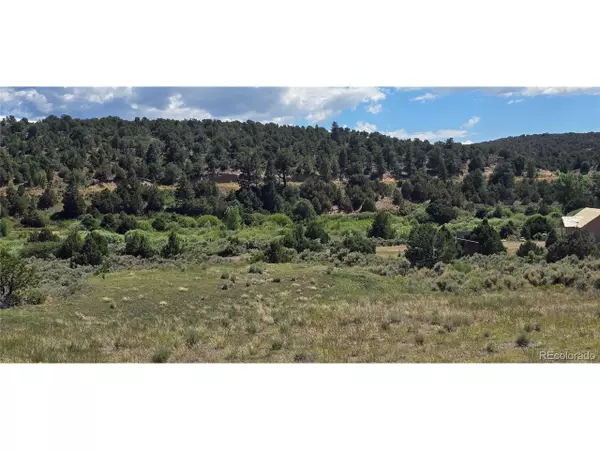 4493 Ehrenclow Rd, Fort Garland, CO 81133