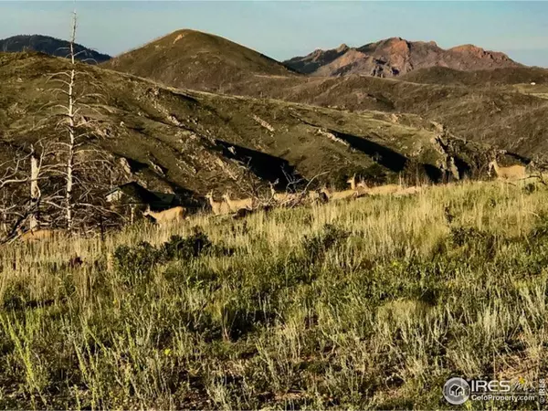 Livermore, CO 80536,108 Snowy Range Ct