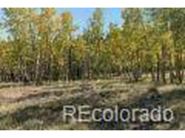 Westcliffe, CO 81252,715 Vista De Aspen Rd