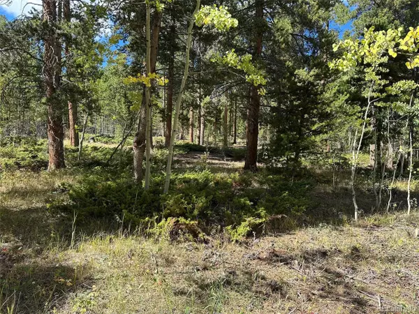 Central City, CO 80427,2774 Upper Apex Rd