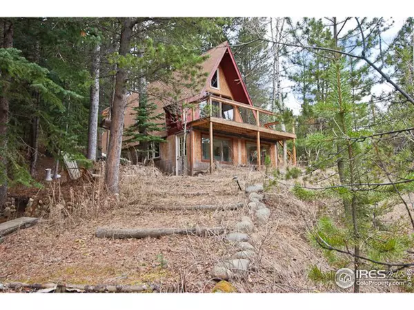 146 Hummer Dr, Nederland, CO 80466