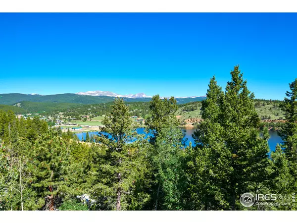 Nederland, CO 80466,79 Pinecliff Trl