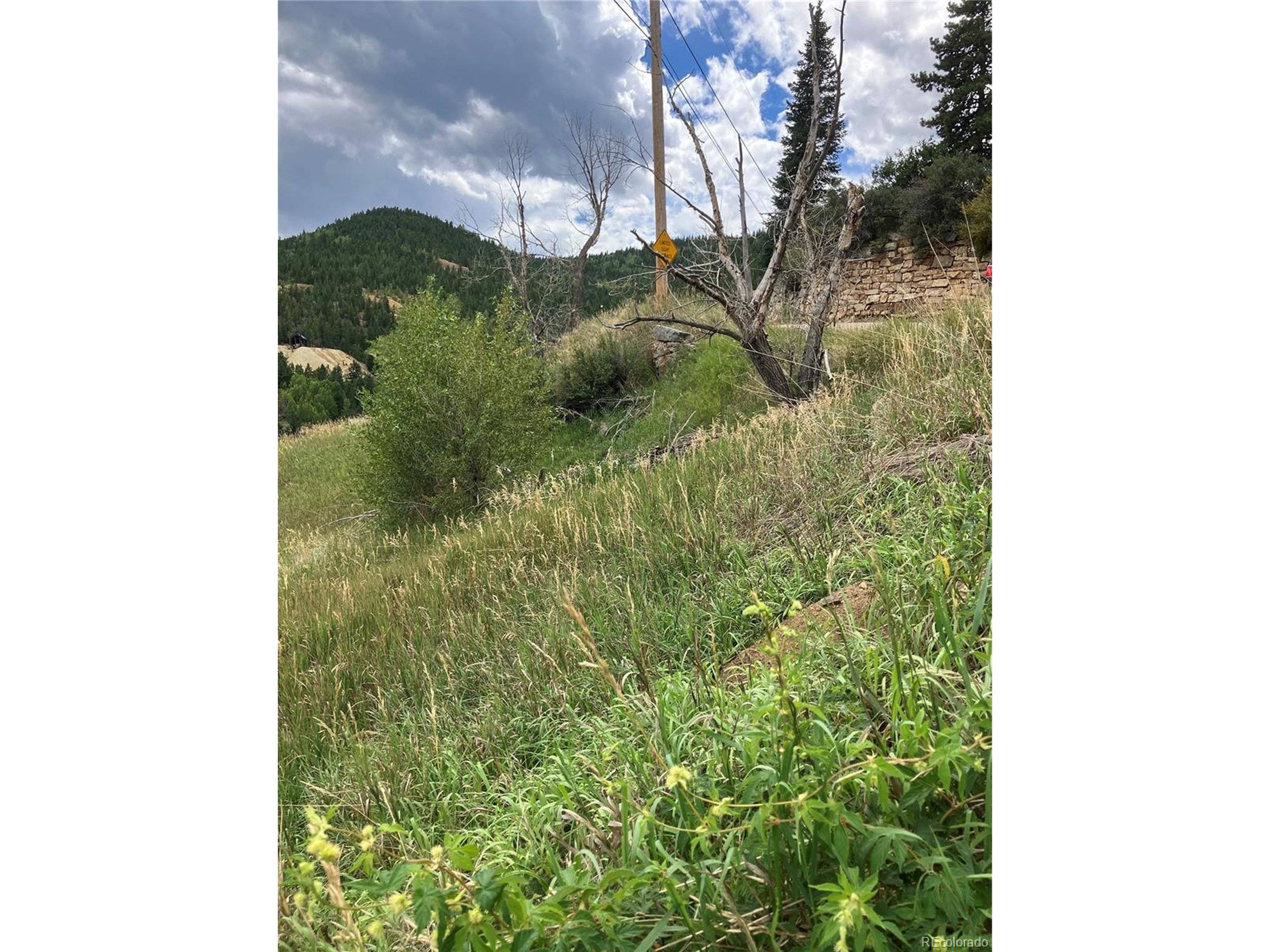 1 Casey St, Central City, CO 80427