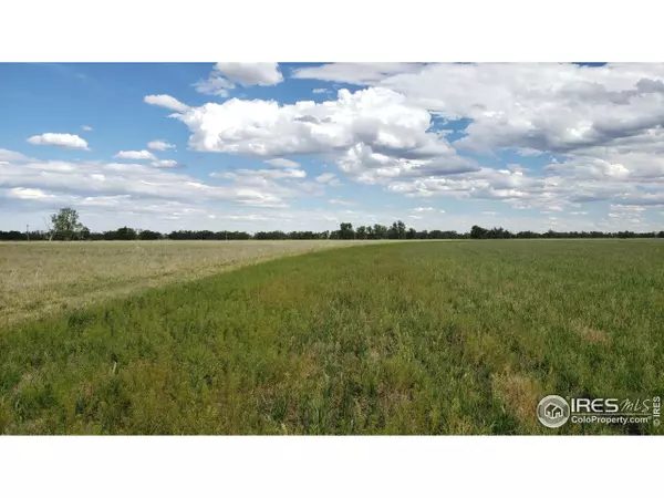 Wiggins, CO 80654,County Road 6