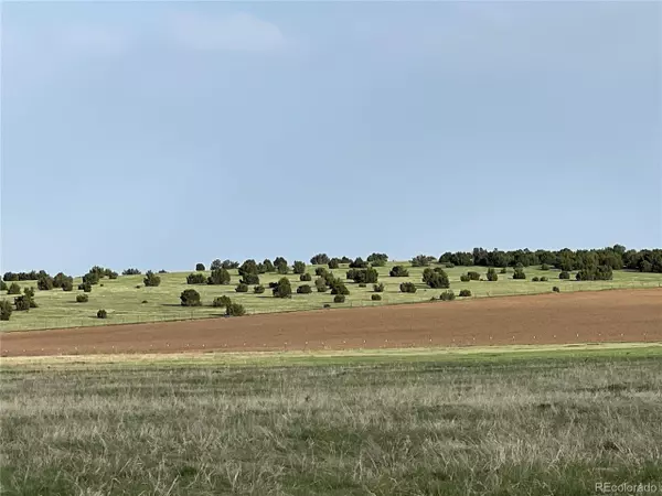 Beulah, CO 81004,Siloam Rd