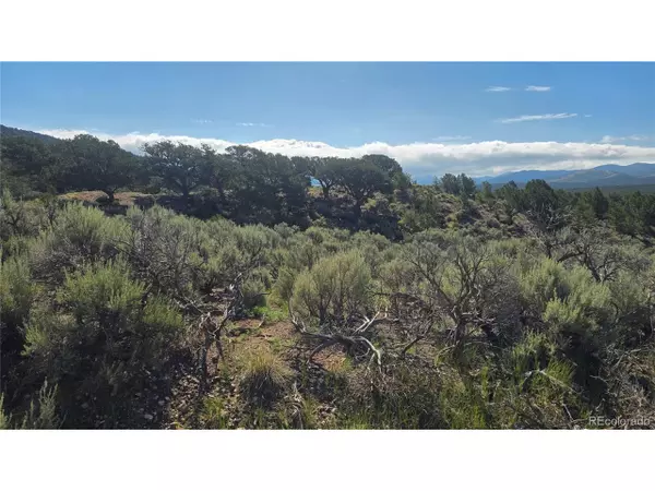 Fort Garland, CO 81133,4296 Renfield Rd