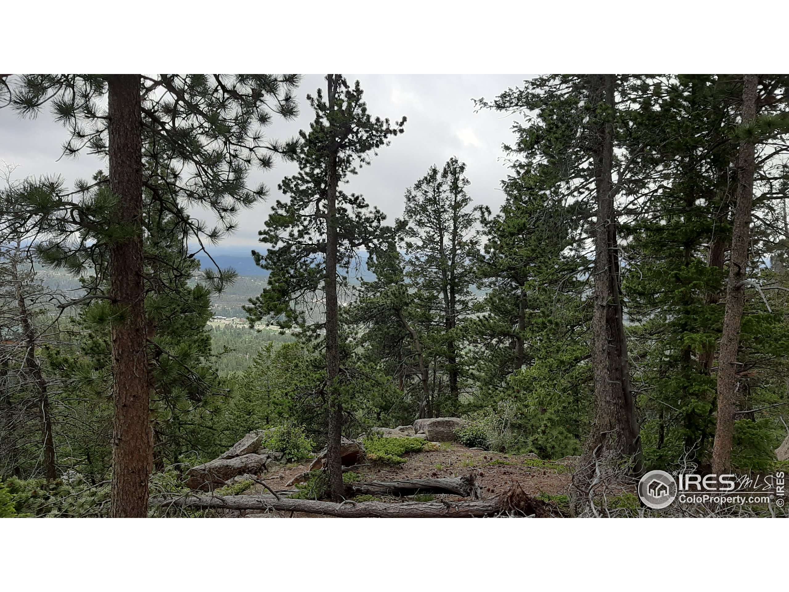 Red Feather Lakes, CO 80545,1171 Jicarilla Trl