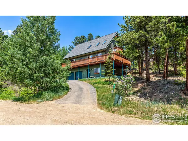 35 Sundown Trl, Nederland, CO 80466