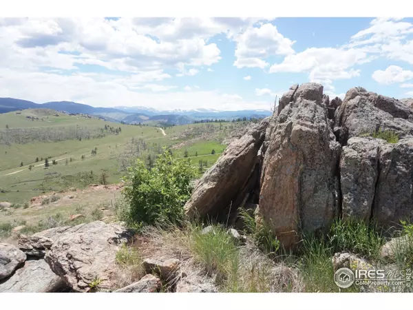 Livermore, CO 80536,109 Jagerhorn Ct