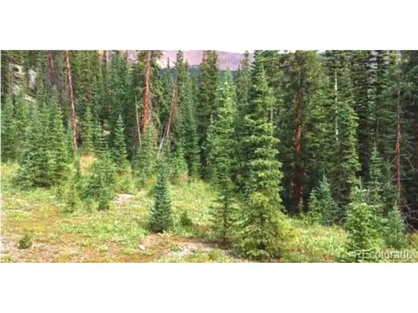 Gunnison, CO 81231,123 Bonnie Bell Lode Claim