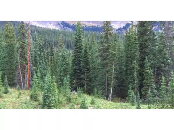 Gunnison, CO 81231,123 Bonnie Bell Lode Claim