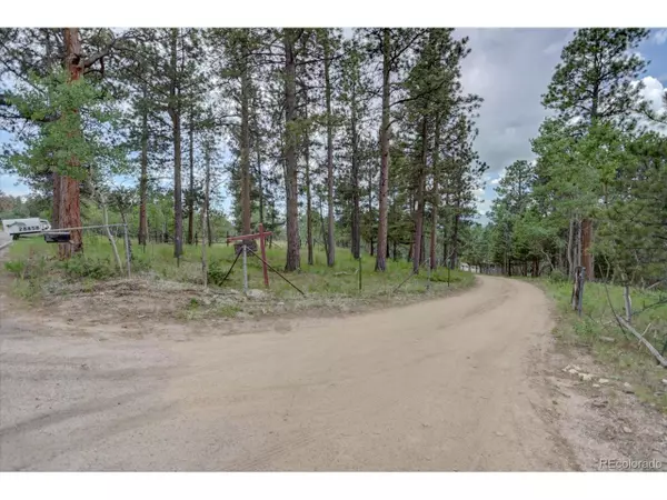 Conifer, CO 80433,28858 Richmond Hill Rd