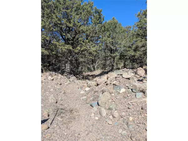 Crestone, CO 81131,2202 Spanish Creek Rd