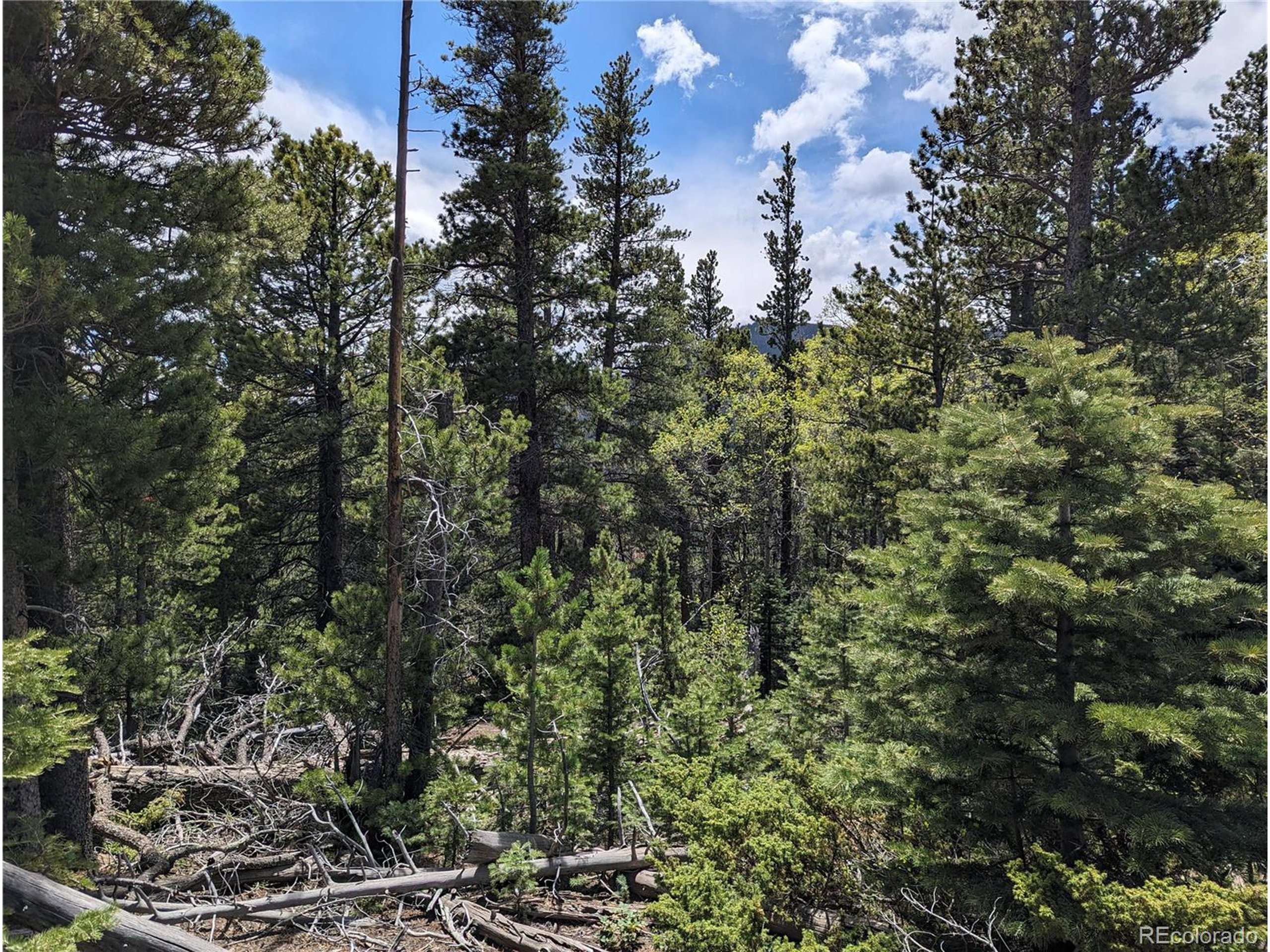 Fort Garland, CO 81133,3159 Purnell Ln
