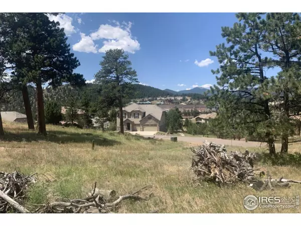 Evergreen, CO 80439,877 Continental View Rd