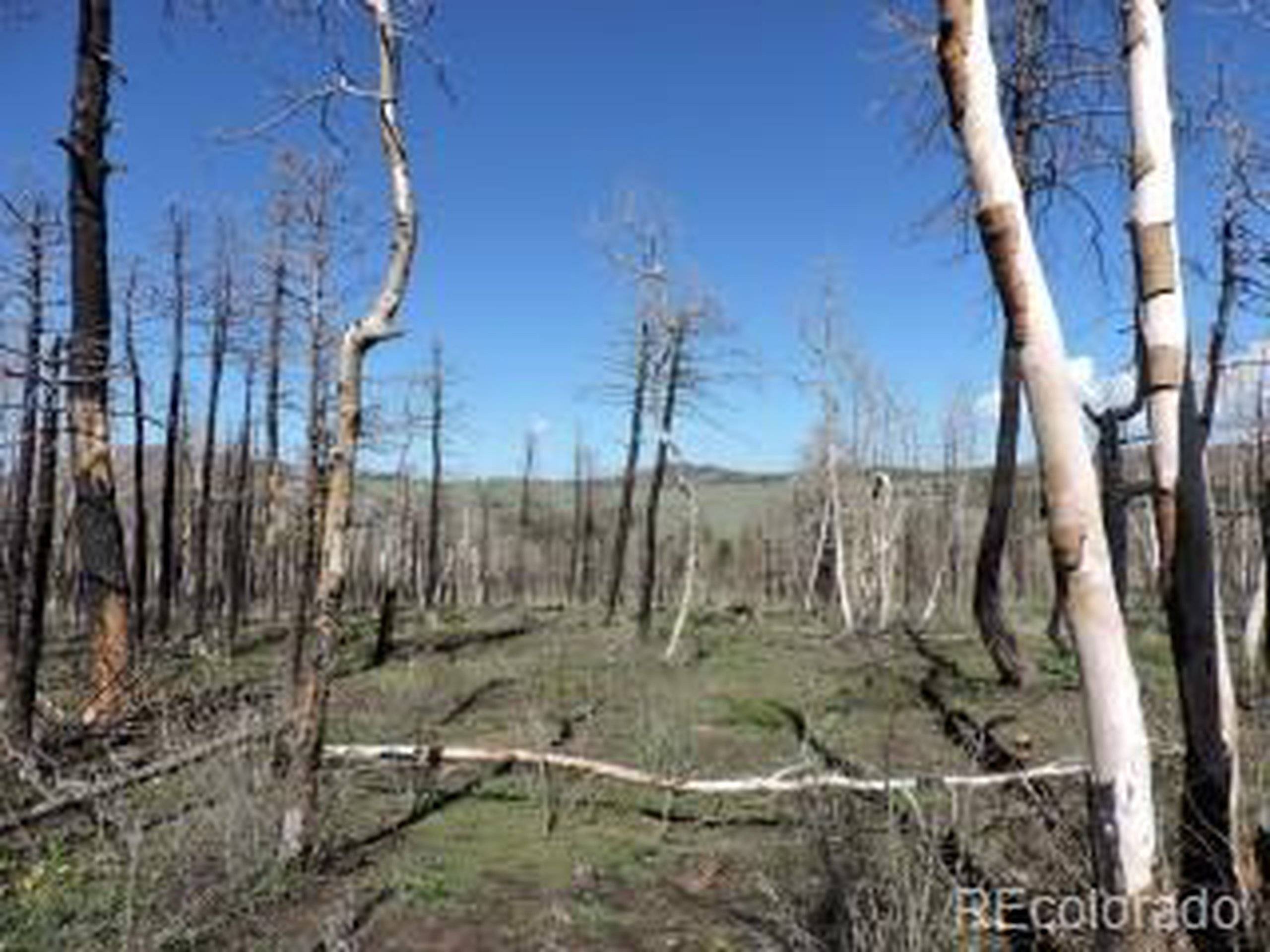 2068 Korlkoff Ln, Fort Garland, CO 81133