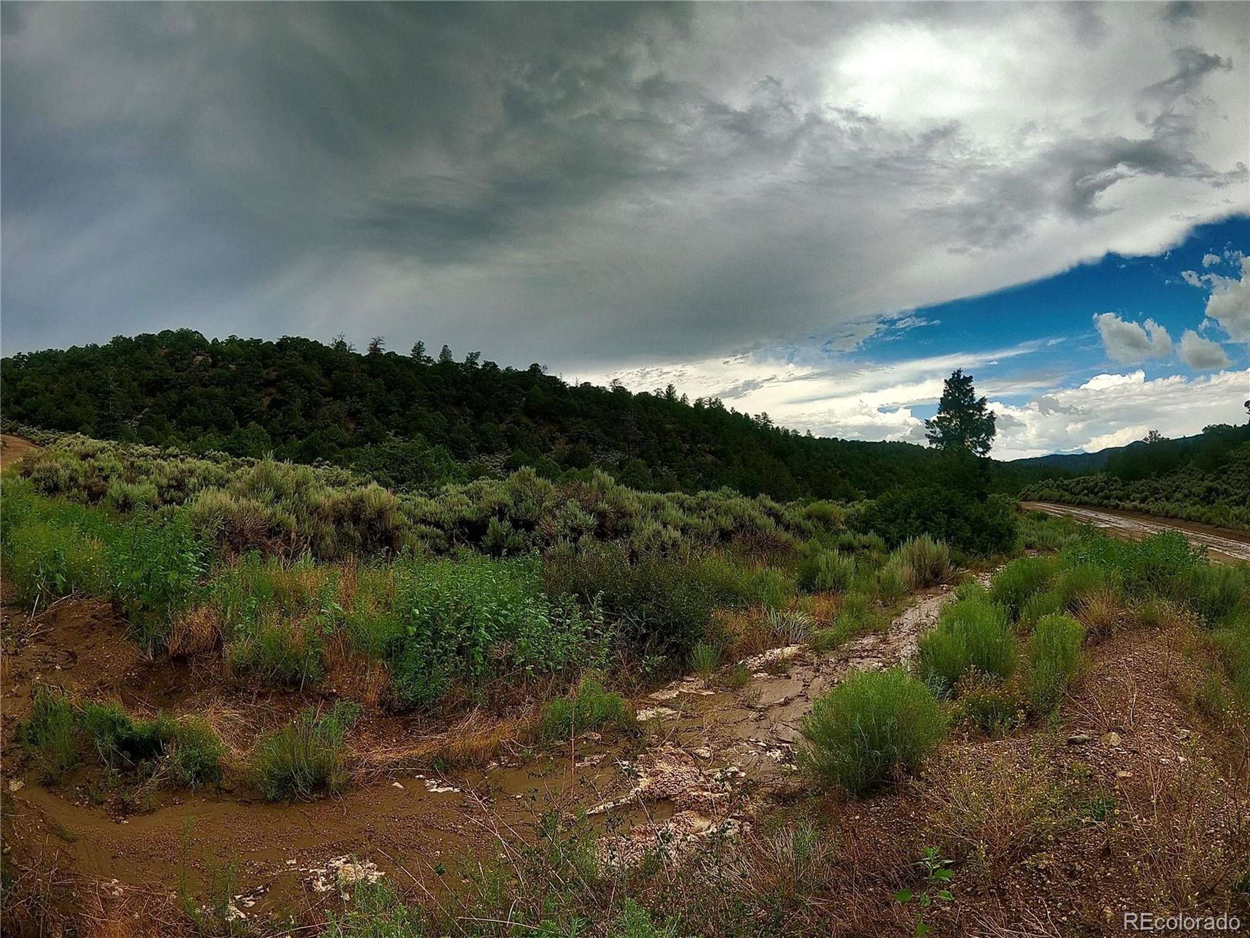 San Luis, CO 81152,county road 21