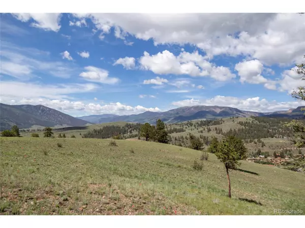 Creede, CO 81130,730 Cliff View Dr