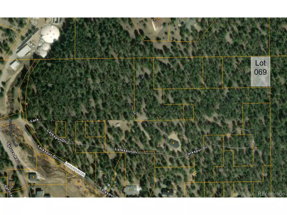 Evergreen, CO 80439,69 Larkspur Dr