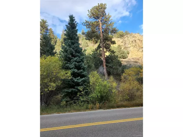 Idaho Springs, CO 80452,0 TBD Fall River Road