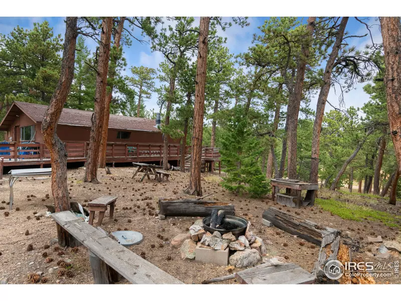 17256 Highway 7, Allenspark, CO 80510