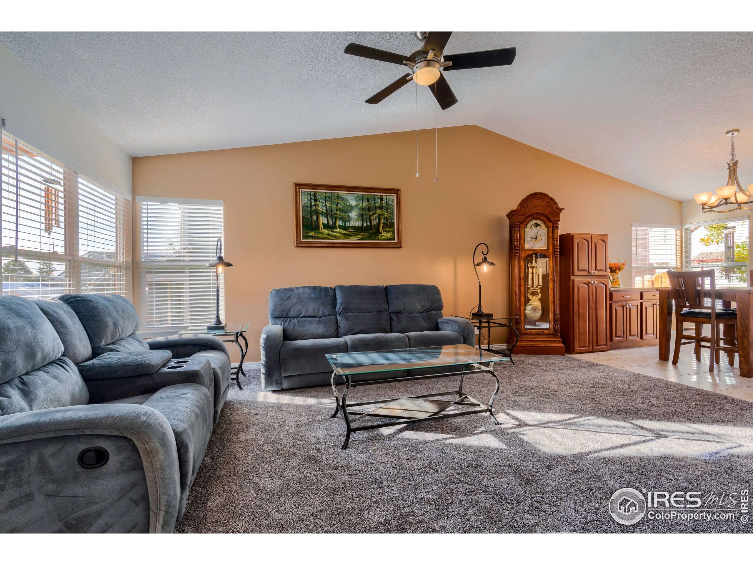 Thornton, CO 80233,11673 Josephine Cir