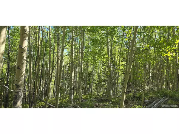 Fort Garland, CO 81133,6708 Debbie Rd