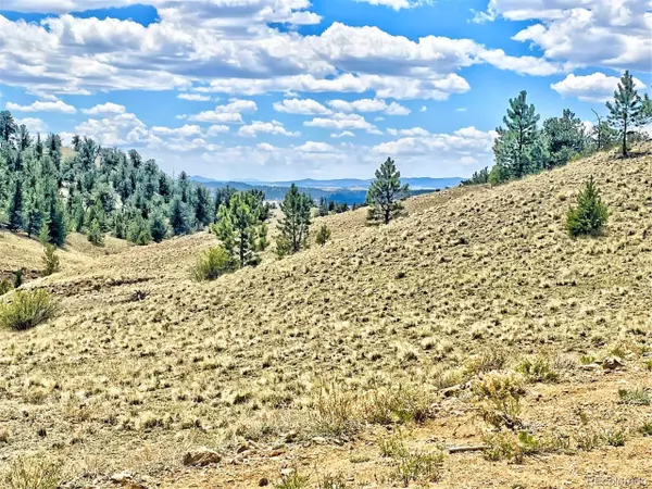 243 June Ln, Hartsel, CO 80449