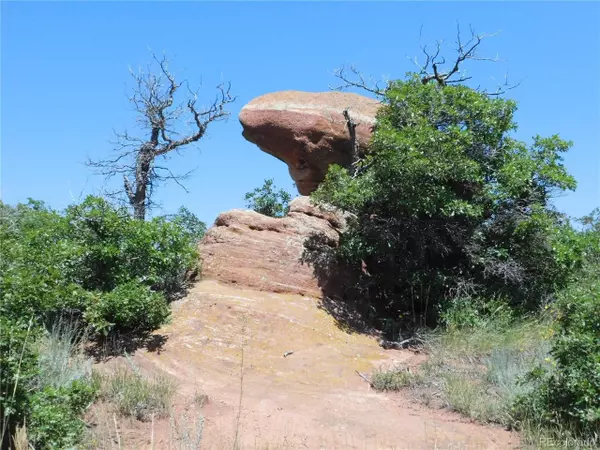 Larkspur, CO 80118,6020 Doral Ct