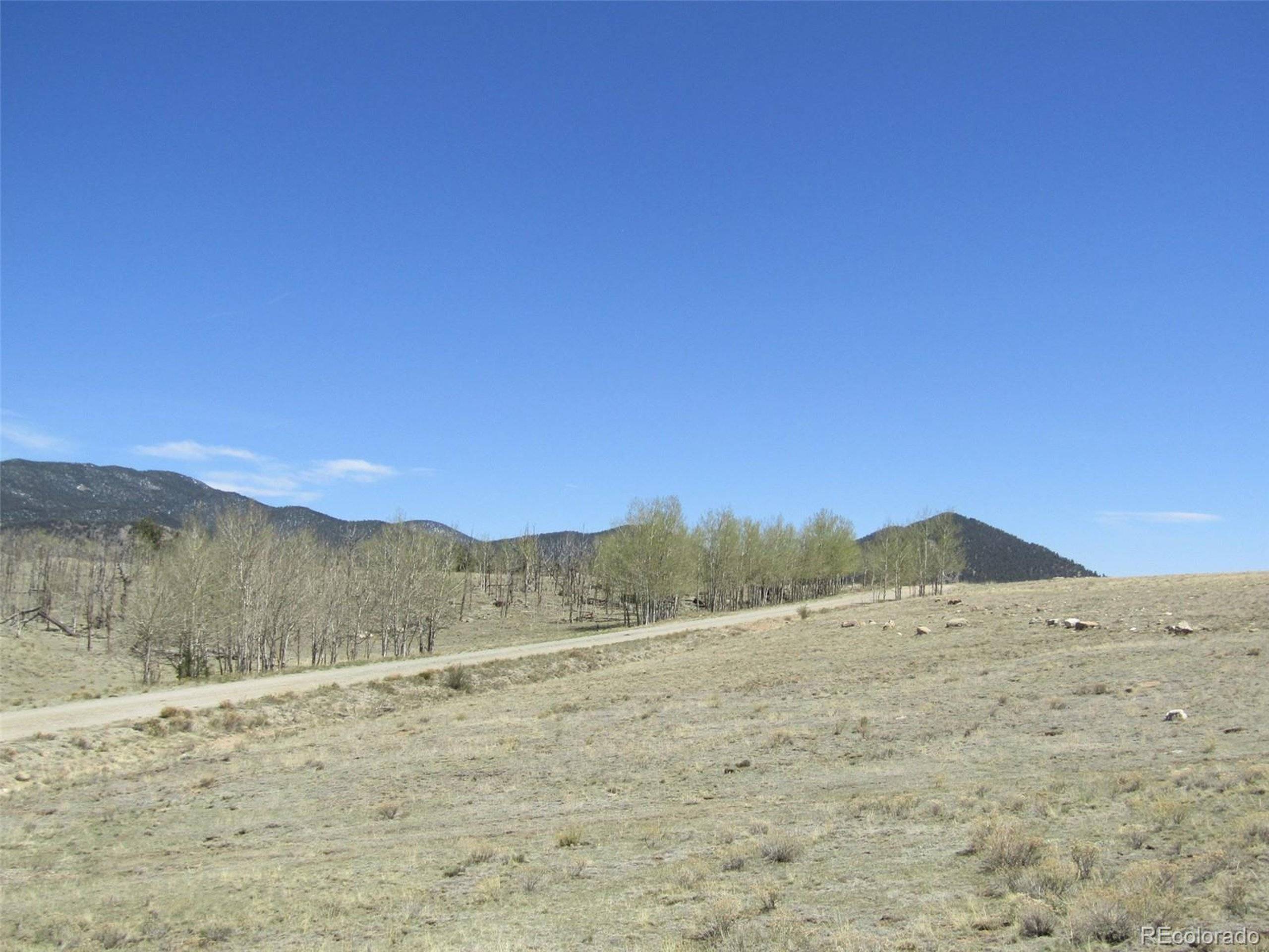 Hartsel, CO 80449,1868 Ute Trce