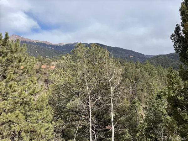 Divide, CO 80814,998 Pikes Peak Dr