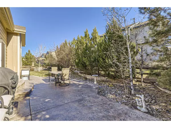 Castle Rock, CO 80109,2748 Dragonfly Ct