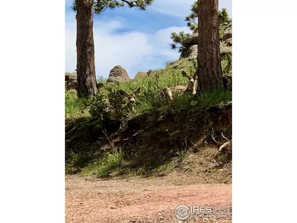 Livermore, CO 80536,0 W Quandary Ct